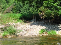 IMG_9317.jpg, 37kB